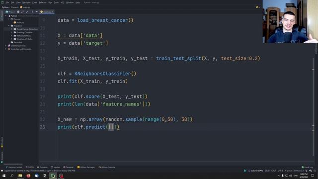 Breast Cancer Detection with Python смотреть онлайн