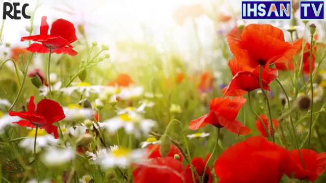 Суруди зебои исломи