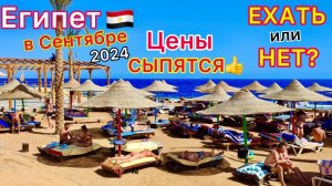 Египет в СЕНТЯБРЕ Туры ДЕШЕВЕЮТ? ЛЕТЕТЬ или НЕТ на отдых? ПОГОДА, ветер, МАНГО, море. ПОЛНЫЙ разбор