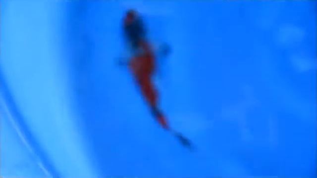 20415-13.wmv смотреть онлайн