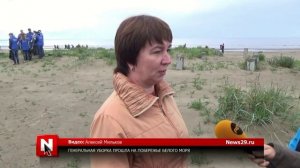 Уборка мусора на побережье острова Ягры