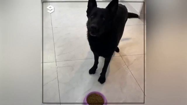 ПОДОГРЕЛ СЕБЕ – ГРЕЙ И МНЕ! Я ТОЖЕ ЧЕЛОВЕК И НЕ БУДУ ЕСТЬ ХОЛОДНУЮ ЕДУ! смотреть онлайн