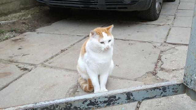 Утепляем стены | Плиты техноплекс снаружи | Так и Живём | 09.12.2022 смотреть онлайн