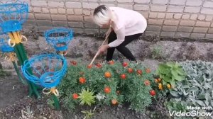 Поздравление заведующему от коллектива детского сада.