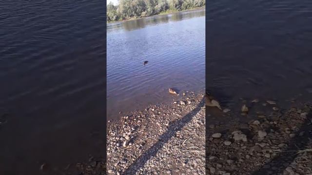 Красноуфимск смотреть онлайн