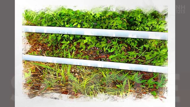 Image Sample Snap Sketch смотреть онлайн