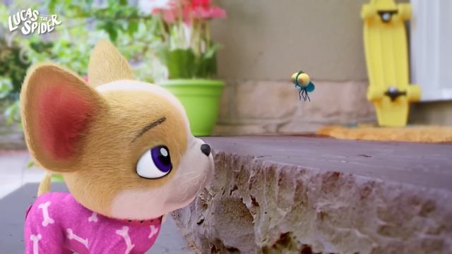 Lucas the Spider - Egg-scuse me - Short смотреть онлайн