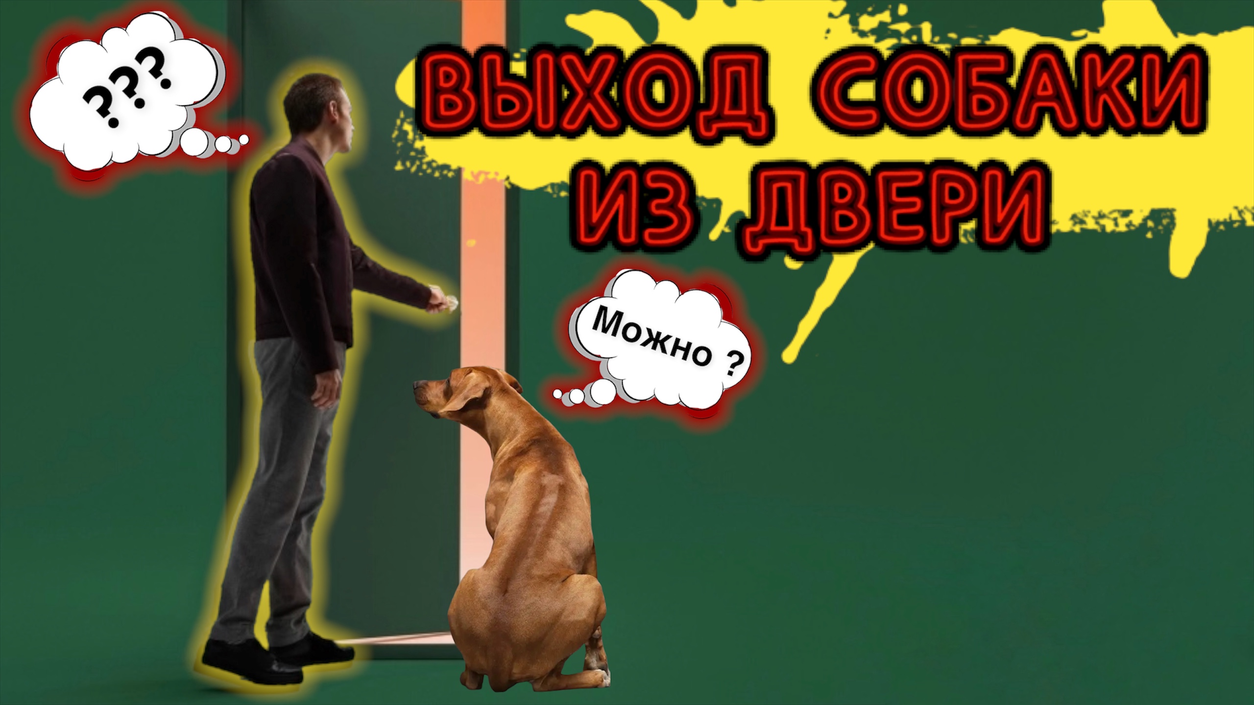 Выход собаки из двери! Как правильно ? смотреть онлайн