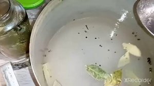 КАК СОХРАНИТЬ СВЕКЛУ (БУРЯК) ВСЮ ЗИМУ ПРИ КОМНАТНОЙ ТЕМПЕРАТУРЕ.  Метод без стерилизации