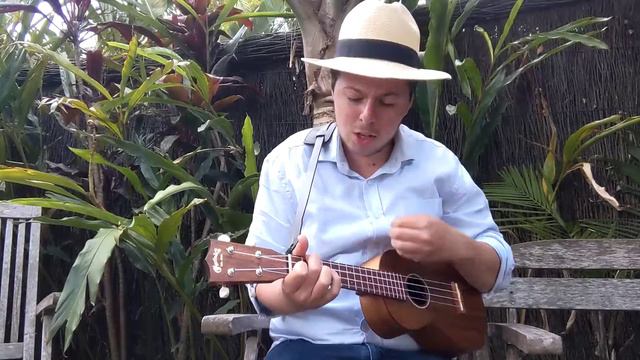 (Ukulele Cover) Wild World by Yusuf/Cat Stevens смотреть онлайн