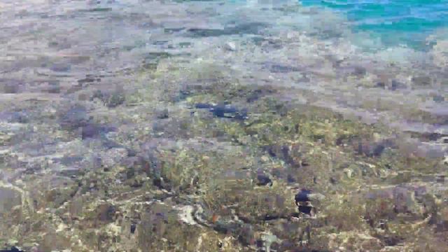 Пляж отеля Sierra Sharm El Sheikh/Savoy сентябрь 2021❤ смотреть онлайн