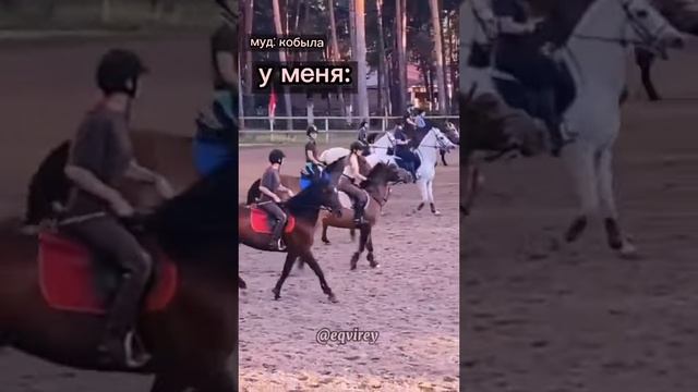 сколько раз вы падали с лошади? смотреть онлайн