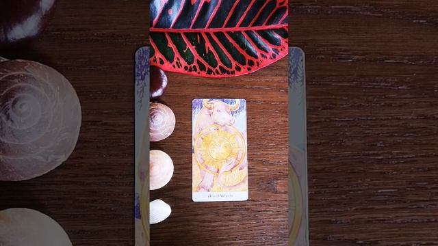 Послание от Ангела Хранителя ?♂️ #tarot #intuitivetarot смотреть онлайн