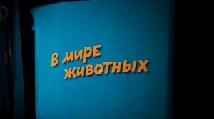 Кинопроектор 35мм КН 20а СССР