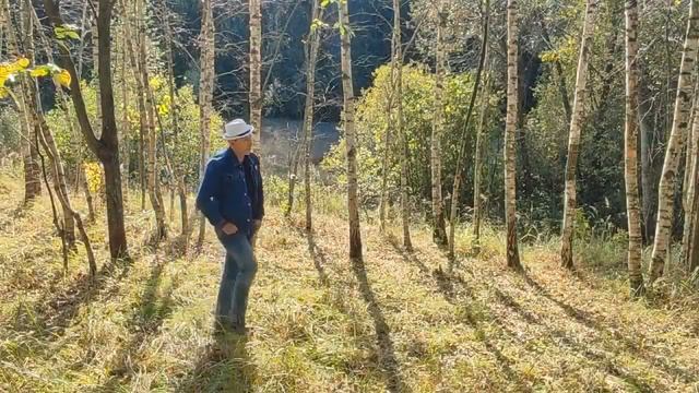 Хочу остаться песней (кавер А.Брянцев) смотреть онлайн