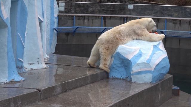 Кай с лейкой. 14.11.2023 смотреть онлайн