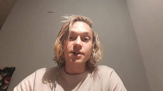 Чем отличается голландский от нидерландского языка? смотреть онлайн