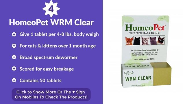 Best Cat Dewormer in 2019 | 6 TOP RATED Cat Dewormers смотреть онлайн