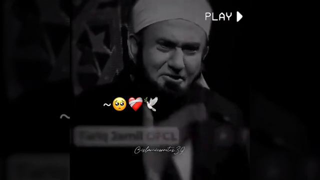 molana tariq jamel saab смотреть онлайн