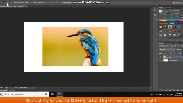Class 7: Introduction to Photoshop 3 смотреть онлайн