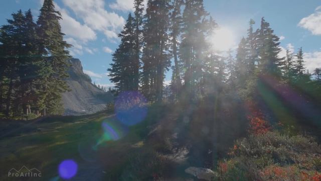 4K Virtual Hike Near River Through The Forest - Baker River Trail & Chain Lake Trail