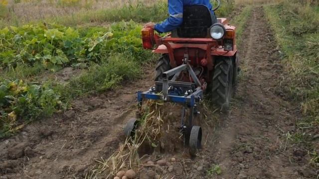Трактор Т-012. Грохотная картофелекопалка. Копаем картошку. смотреть онлайн