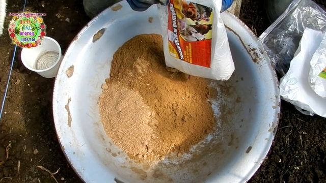 Агрогороскоп посадки озимого лука в августе-сентябре 2021 года для северных регионов смотреть онлайн