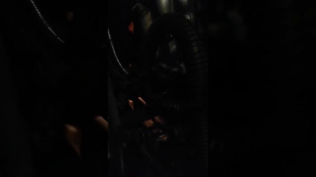 Расположение номера двигателя на Ford Kuga 1.5 ecobust смотреть онлайн