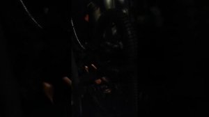 Расположение номера двигателя на Ford Kuga 1.5 ecobust