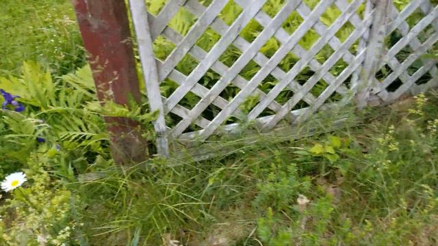 Marlow Update June 12, 2022