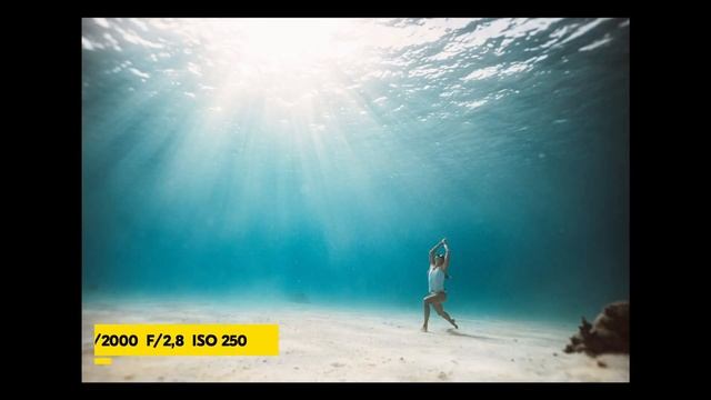 Кирилл Умрихин. Тест Nikon Z 6II