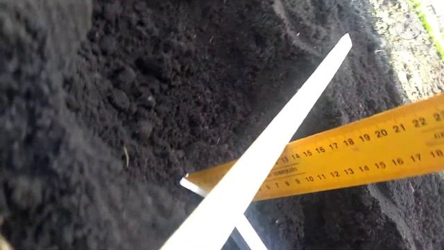 Приспособление для посадки картофеля под мотокультиватор.Испытания.