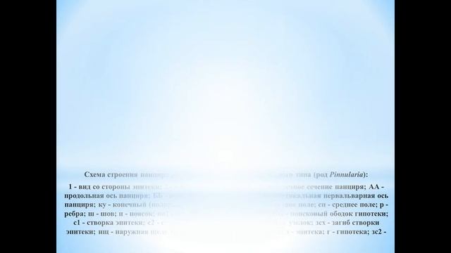 Растения - часть 6 (Диатомовые водоросли) смотреть онлайн