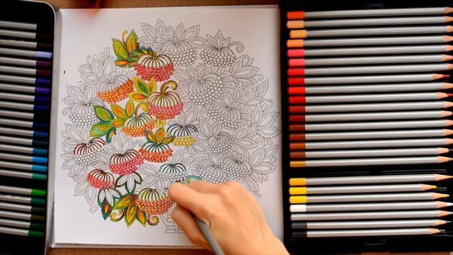 Обзор новой раскраски+ РАСКРАШИВАЕМ ВМЕСТЕ смотреть онлайн