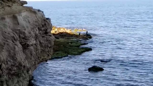 Дикий пляж в Казачке Часть 2. _Подводный спецназ_. смотреть онлайн