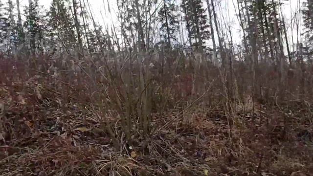 Закрытие сезона 2021. Металлокоп. смотреть онлайн