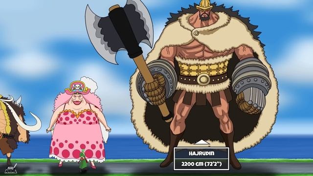 One Piece Characters Actual Size Comparison Animated