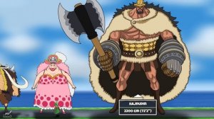 One Piece Characters Actual Size Comparison Animated