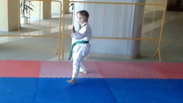 Как научиться в домашних условиях делать ( Heian Shodan) Карате это самооборона