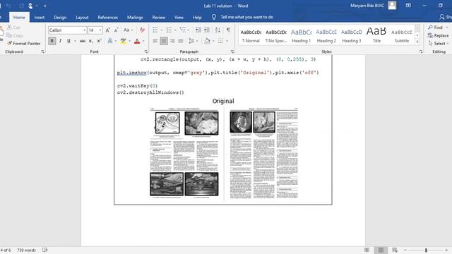 Image segmentation based on text and graphic using python | DIP Lab смотреть онлайн