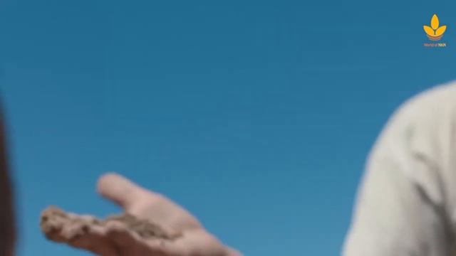 Борьба с засолением почвы. Казахстан и FAO – World of NAN смотреть онлайн