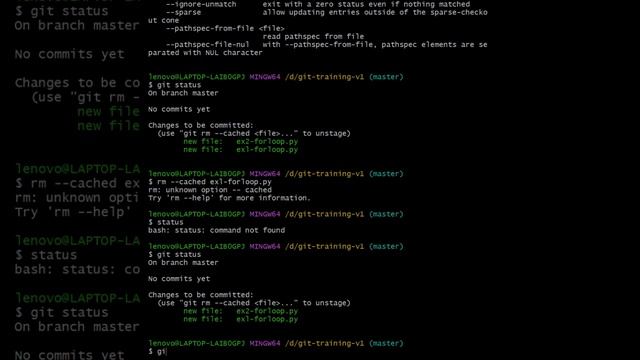 Making a first commit смотреть онлайн