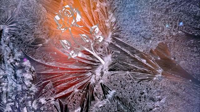 Хрустальная роза на окне ? Стихи Лидии Тагановой Читает Сергей Овчаров смотреть онлайн