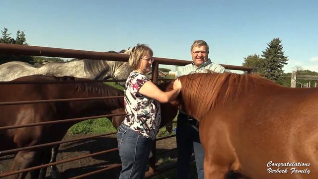 Sturgeon County 100 Year Farm Family смотреть онлайн
