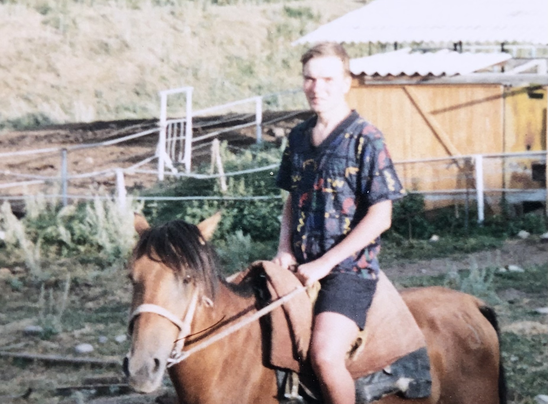 Но мы, поэты, все живучие