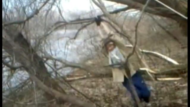 Тайны уринопарка - дары леса смотреть онлайн