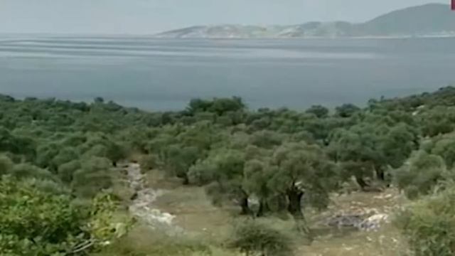 Учебник Самоделки