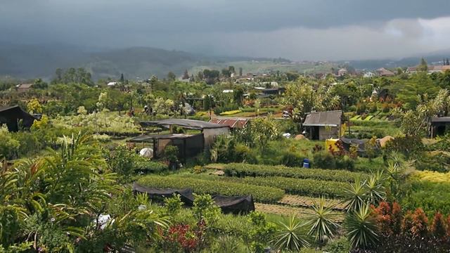 Gubug Bunga Teaser смотреть онлайн