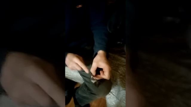 Как обрезать большой собаке когти. смотреть онлайн