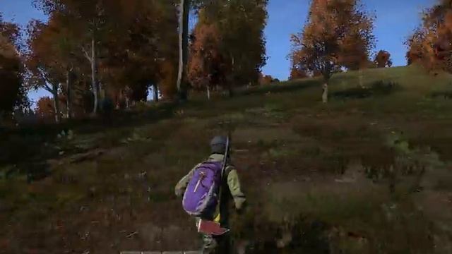 DayZ animation strangeness смотреть онлайн